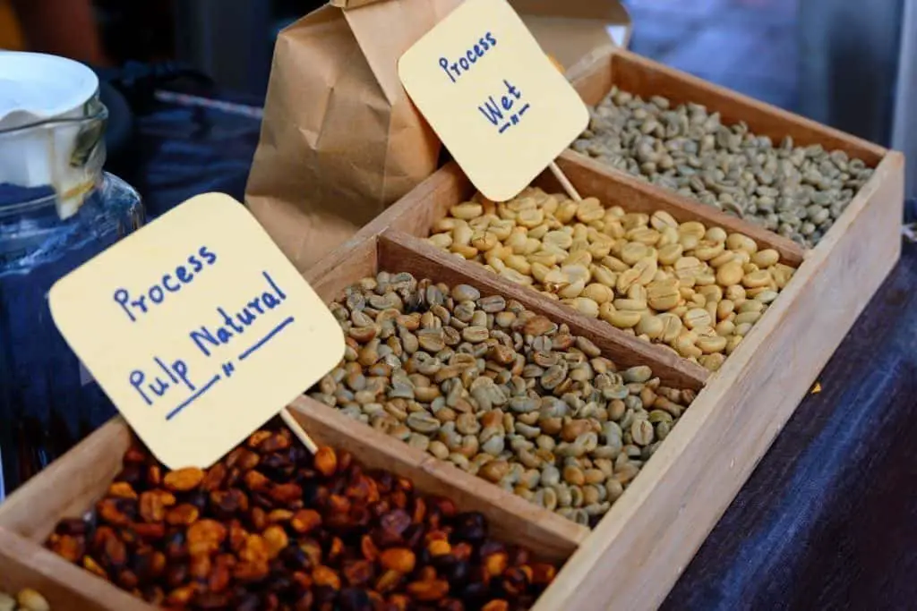 coffee beans with different processing methods - wet, dry, pulp natural, and honey process.