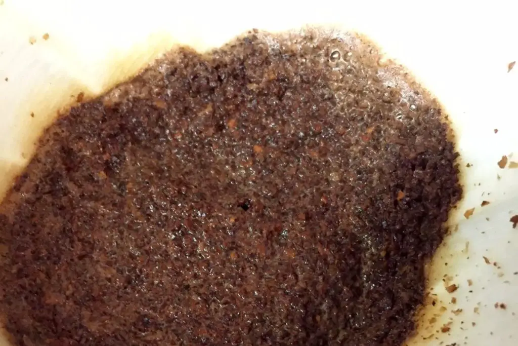 Why Does My Poop Look Like Coffee Grounds 